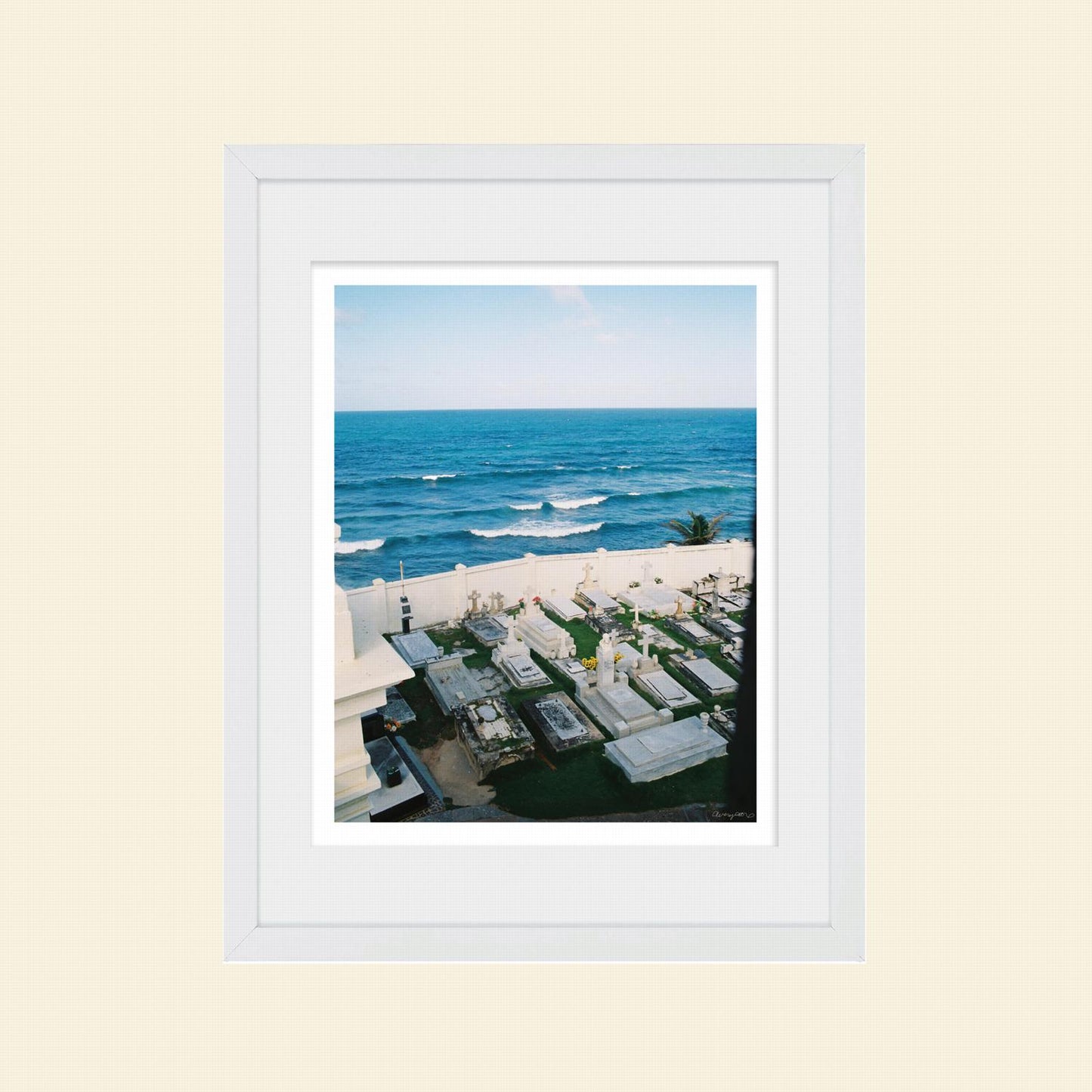 Avery Alexander- "Buried At Sea"