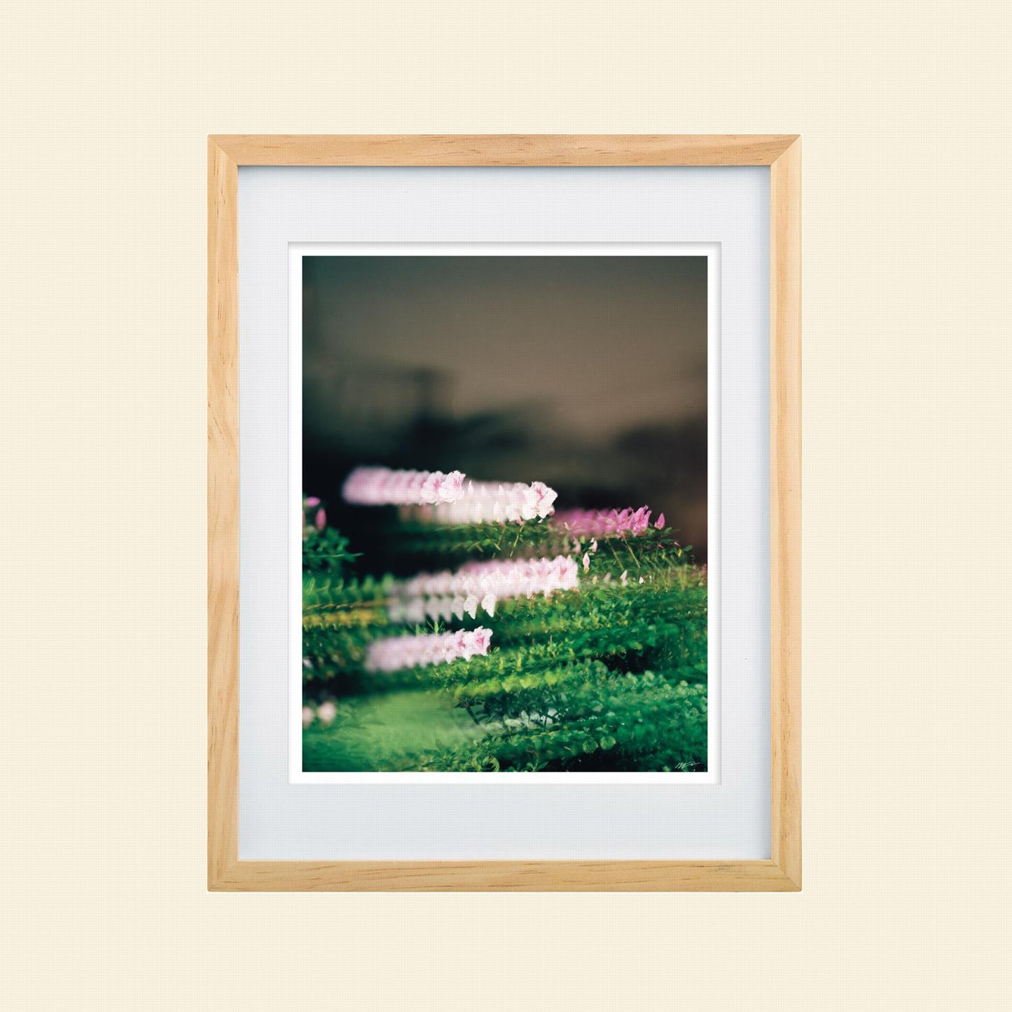 Colton Wheatley- "Quantum Bouquet"