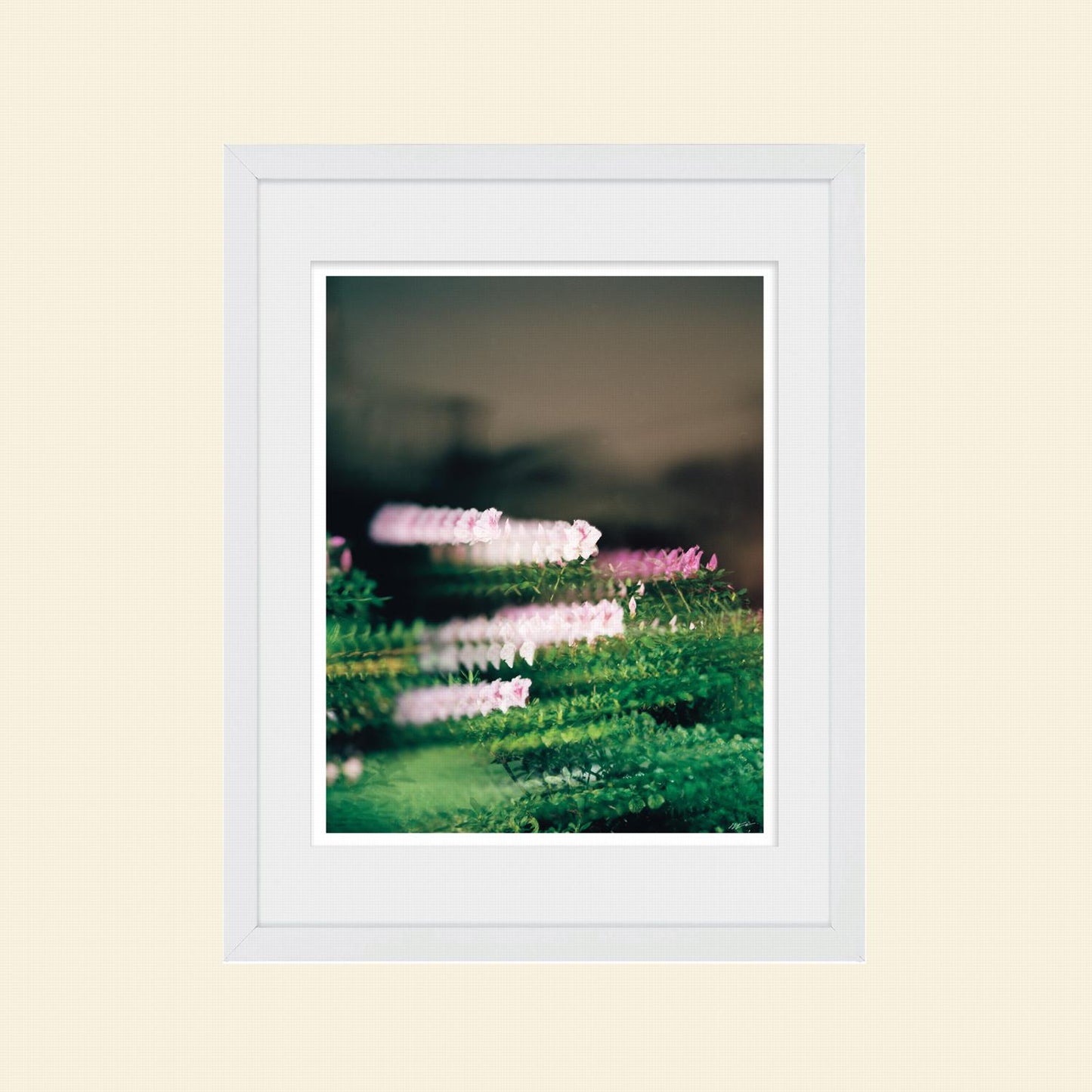Colton Wheatley- "Quantum Bouquet"