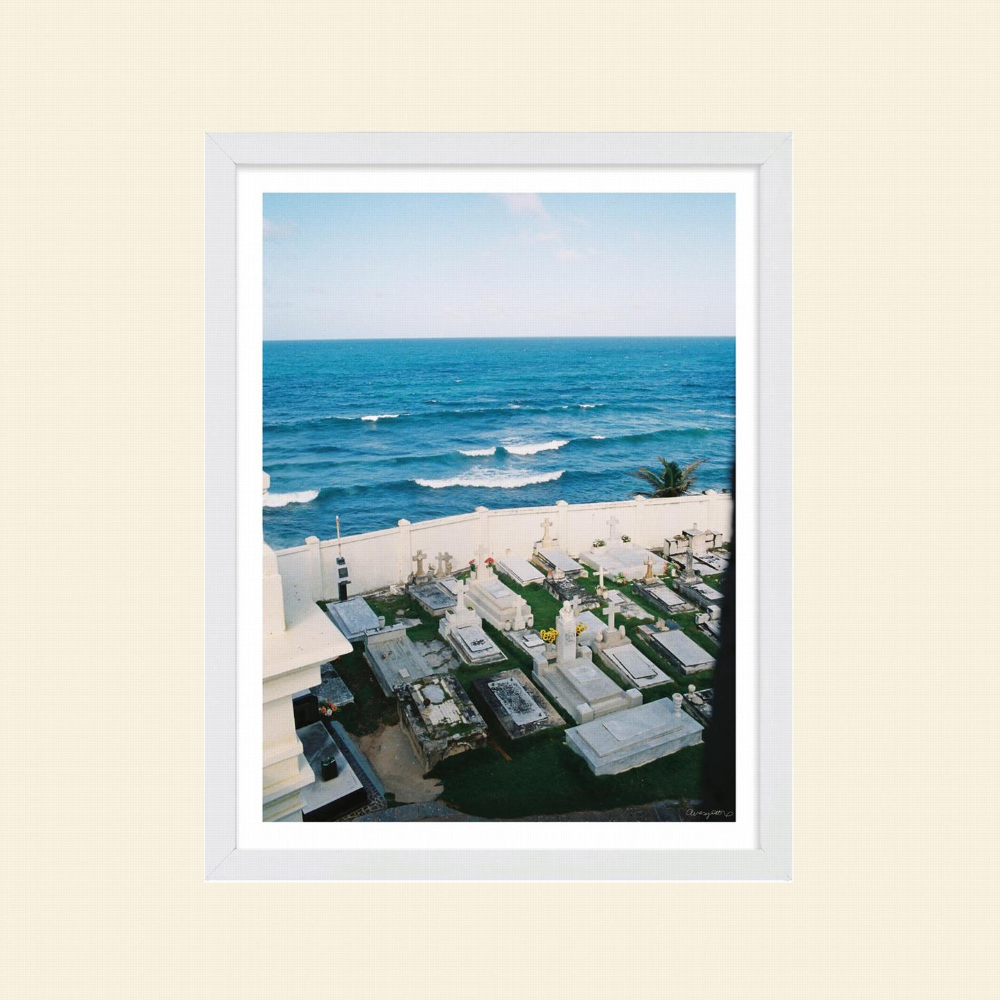 Avery Alexander- "Buried At Sea"