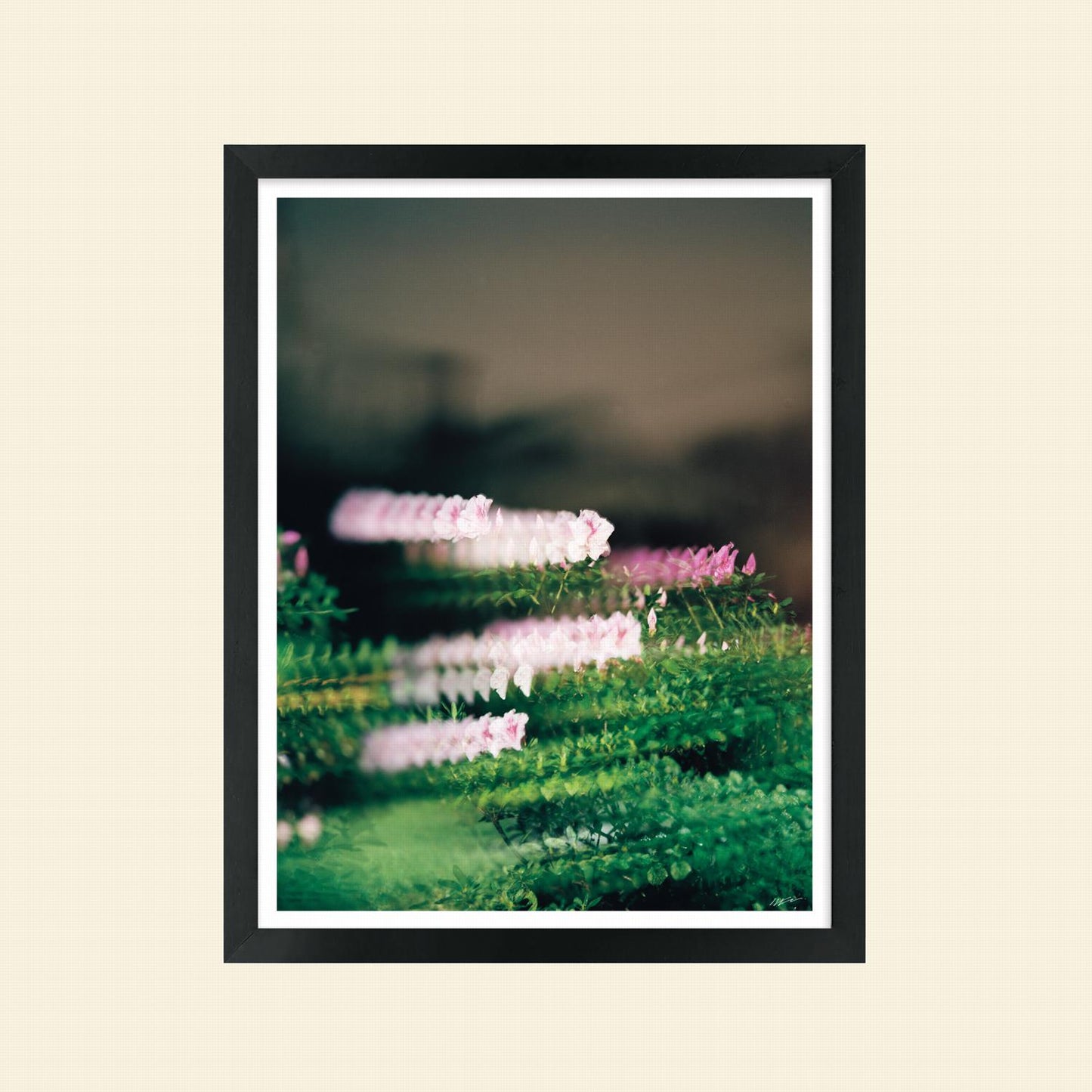 Colton Wheatley- "Quantum Bouquet"
