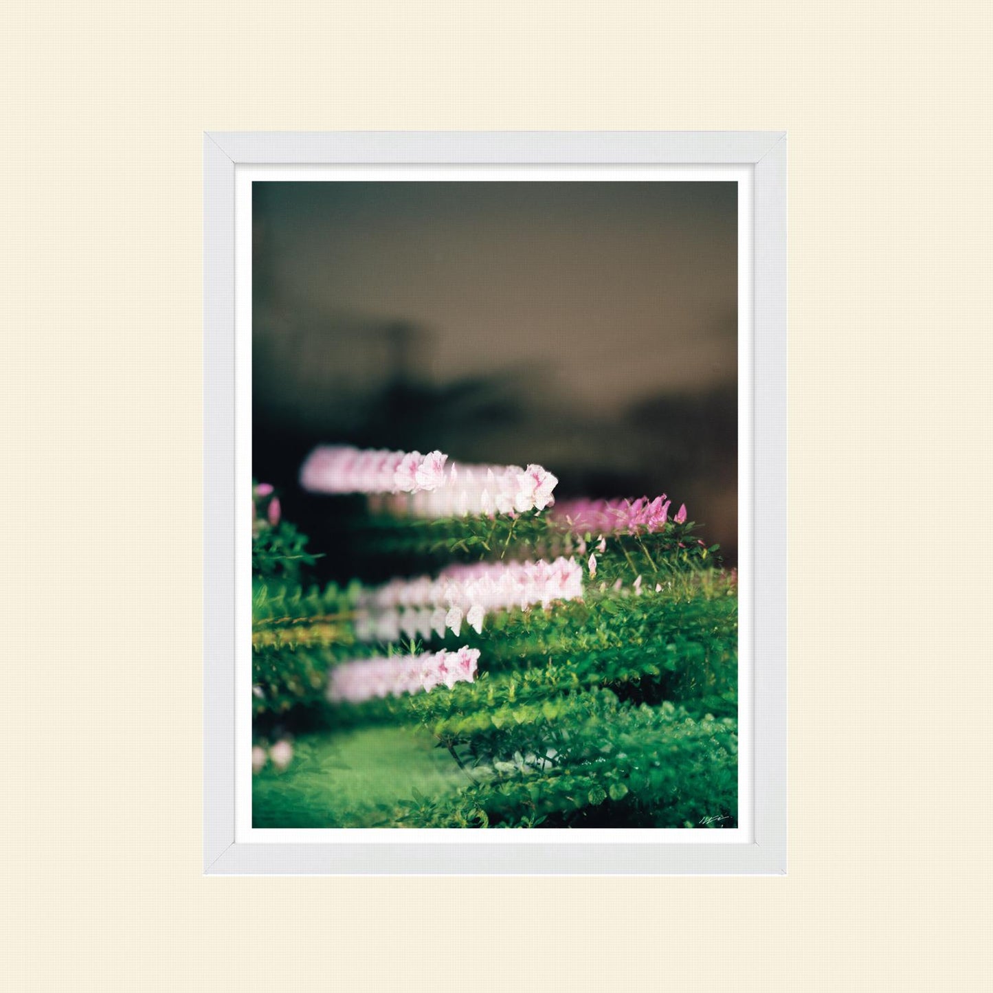 Colton Wheatley- "Quantum Bouquet"