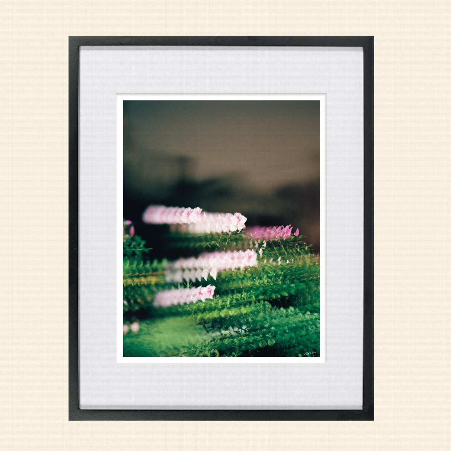 Colton Wheatley- "Quantum Bouquet"