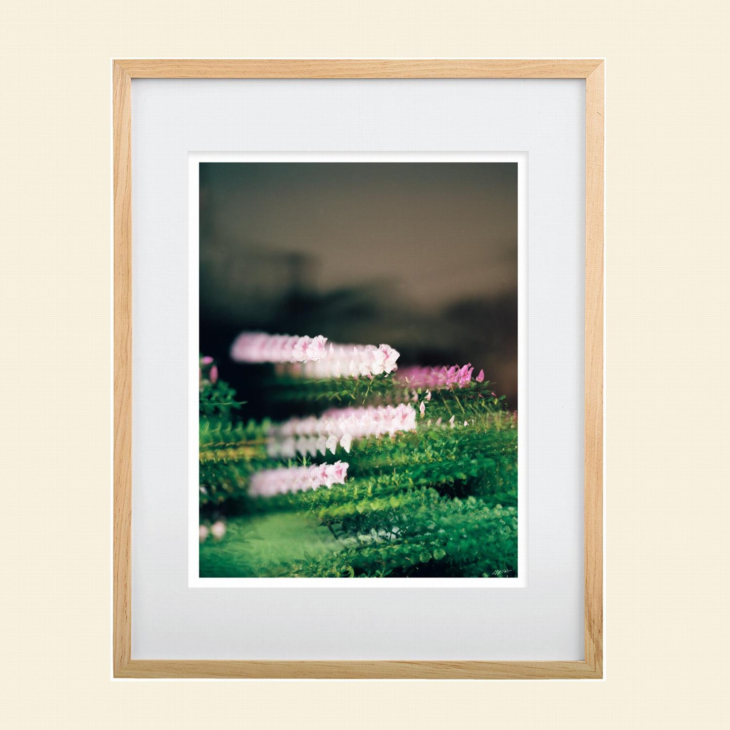 Colton Wheatley- "Quantum Bouquet"