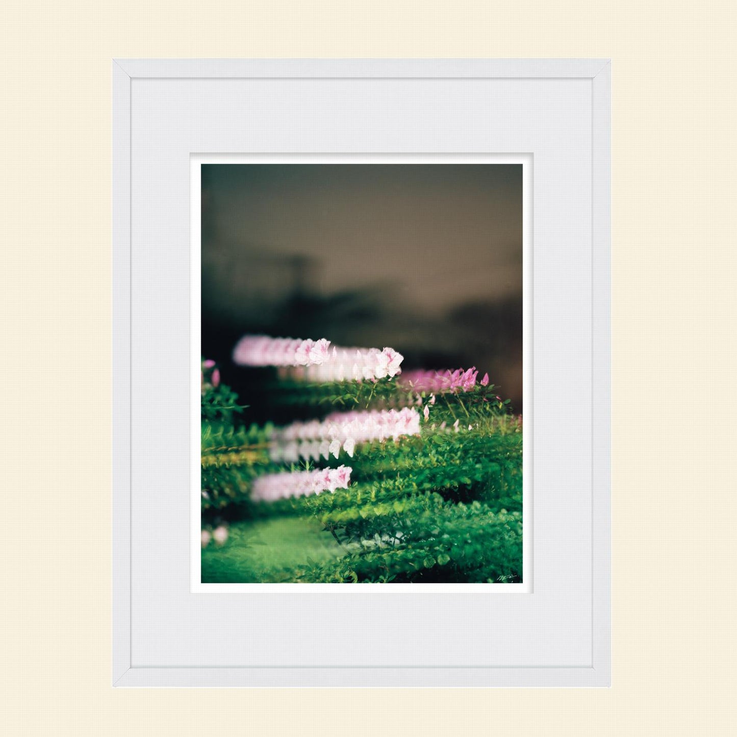 Colton Wheatley- "Quantum Bouquet"