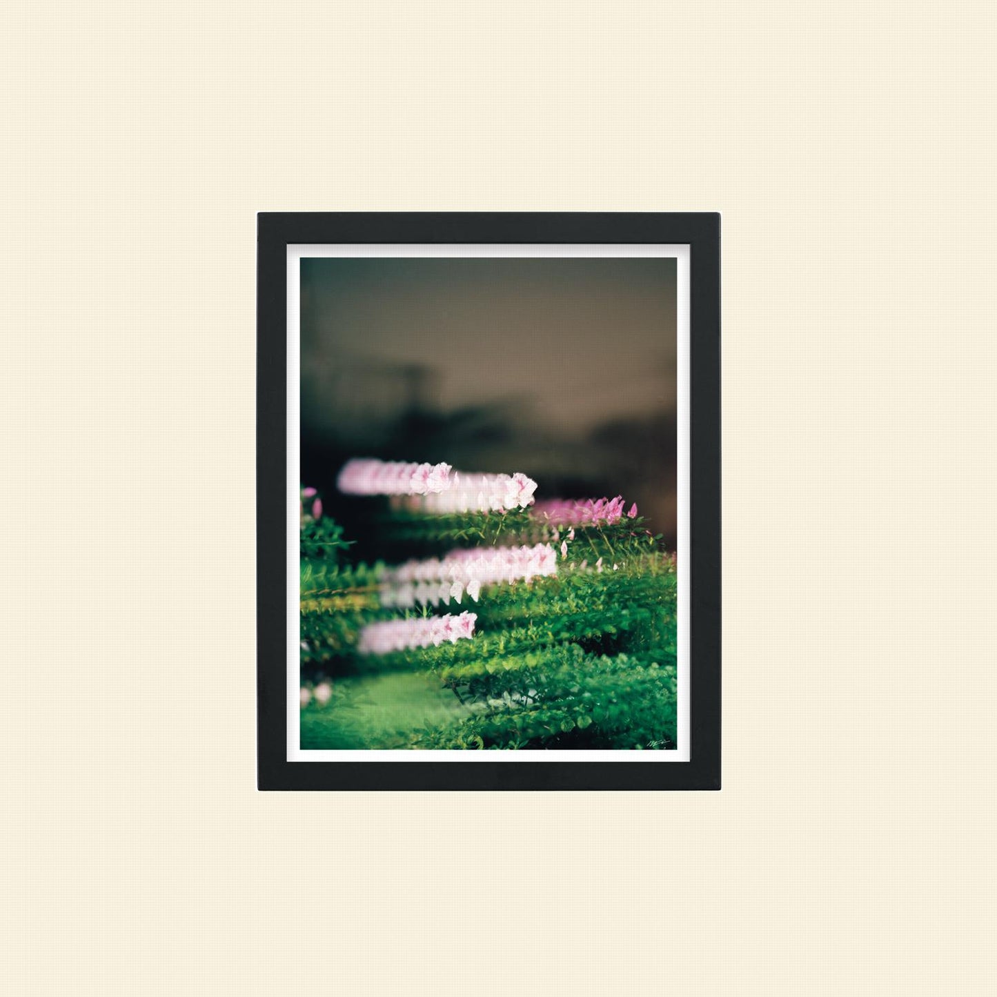 Colton Wheatley- "Quantum Bouquet"