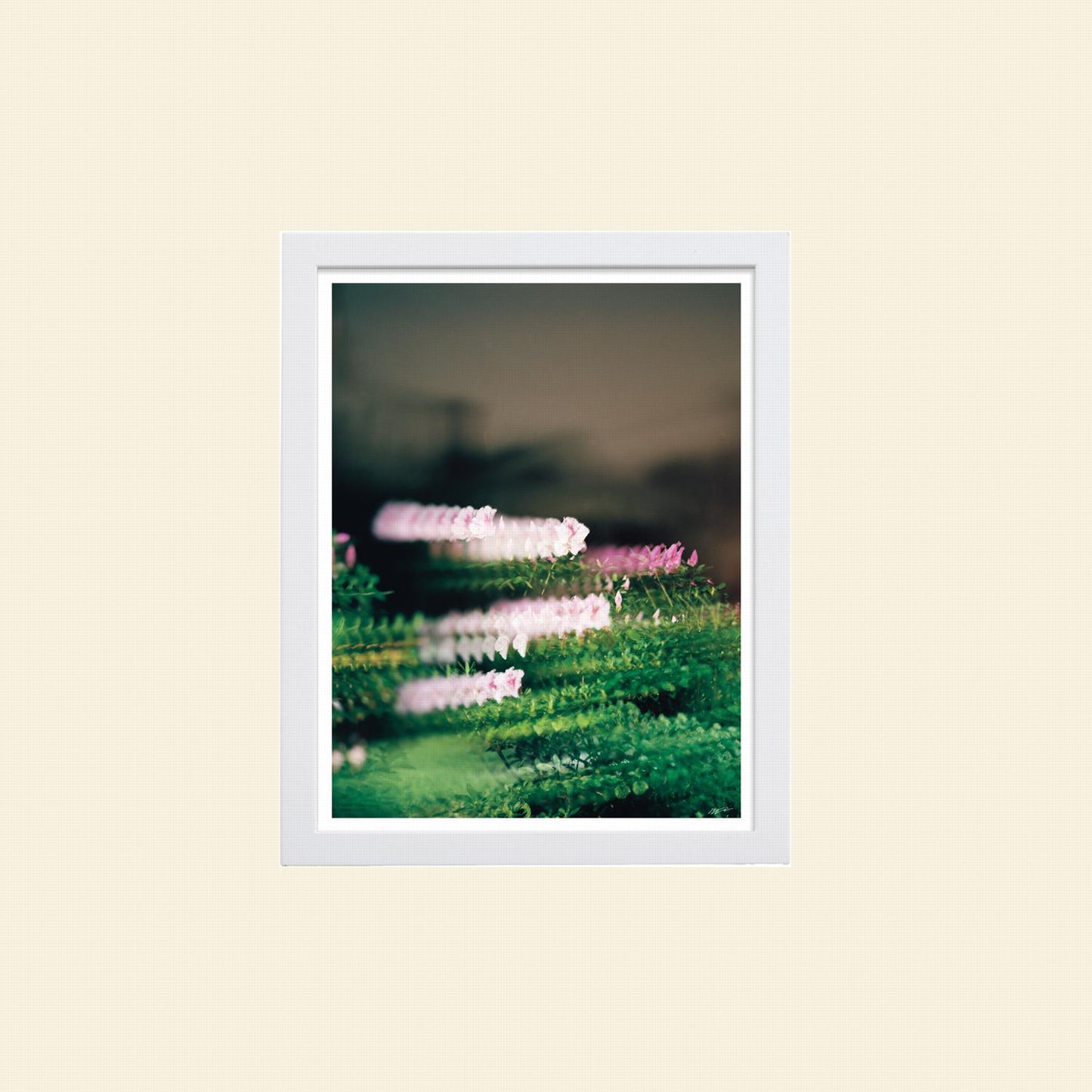 Colton Wheatley- "Quantum Bouquet"