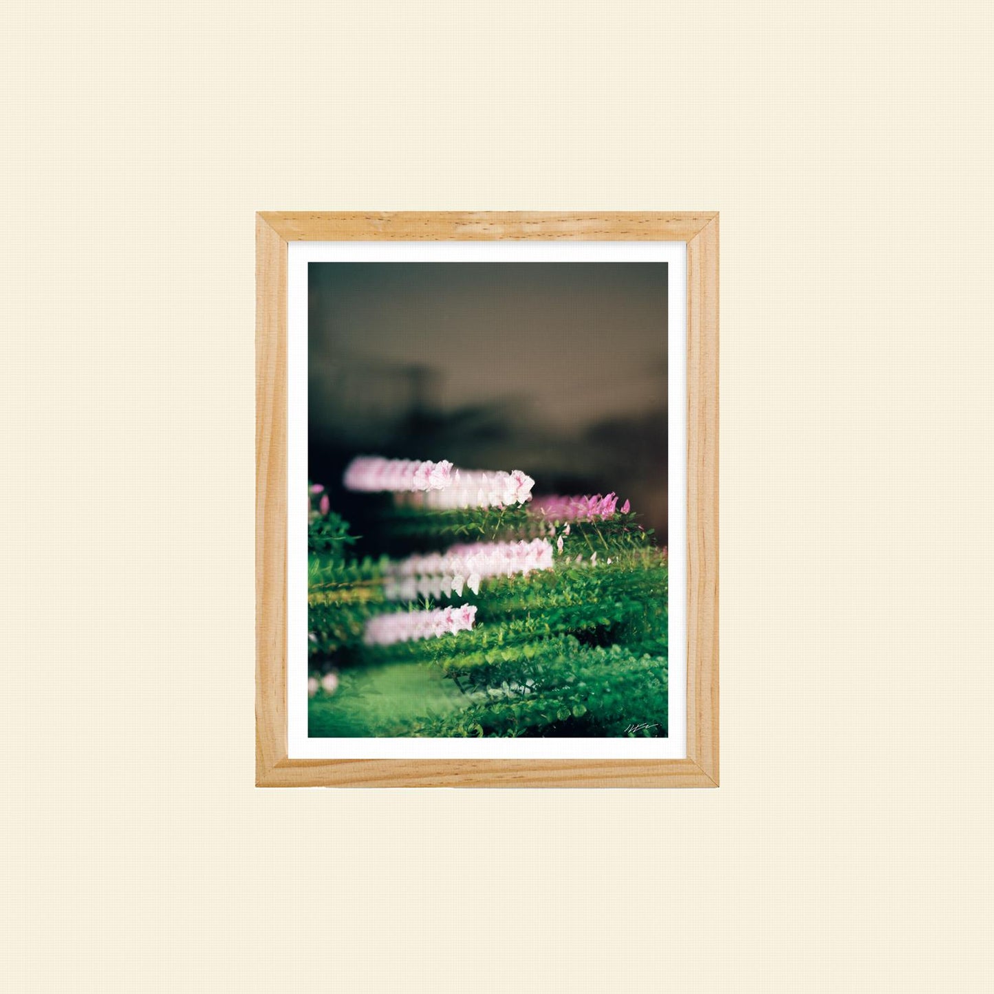 Colton Wheatley- "Quantum Bouquet"