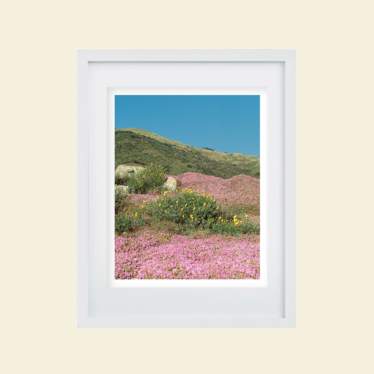 Sydney Smith - "California Colorblock"