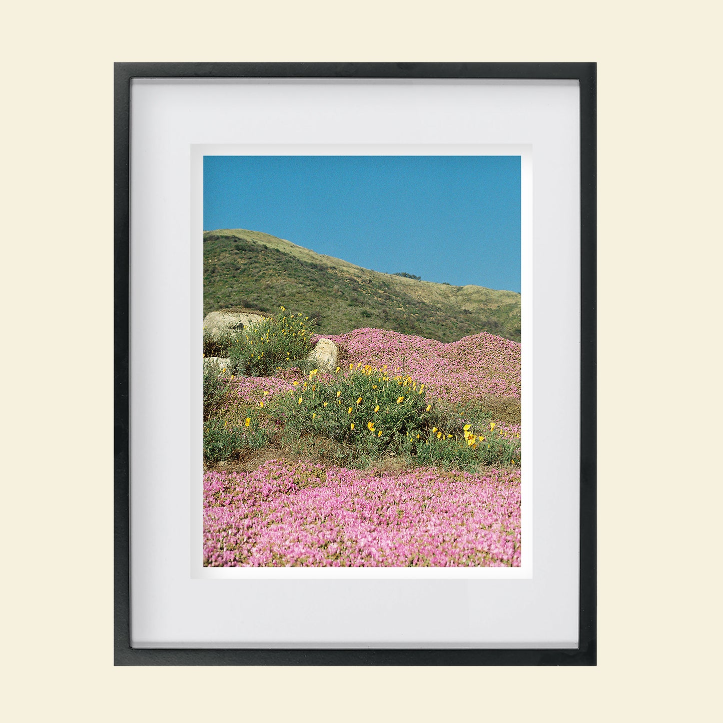 Sydney Smith - "California Colorblock"