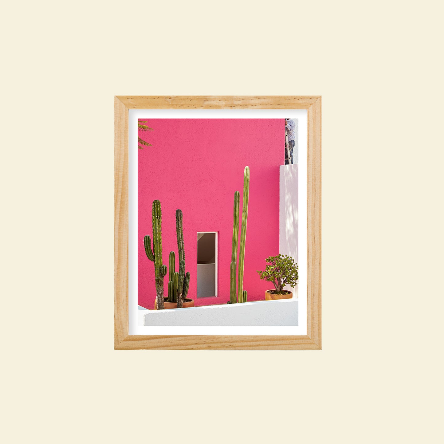 Tropico- "Pink Casa"