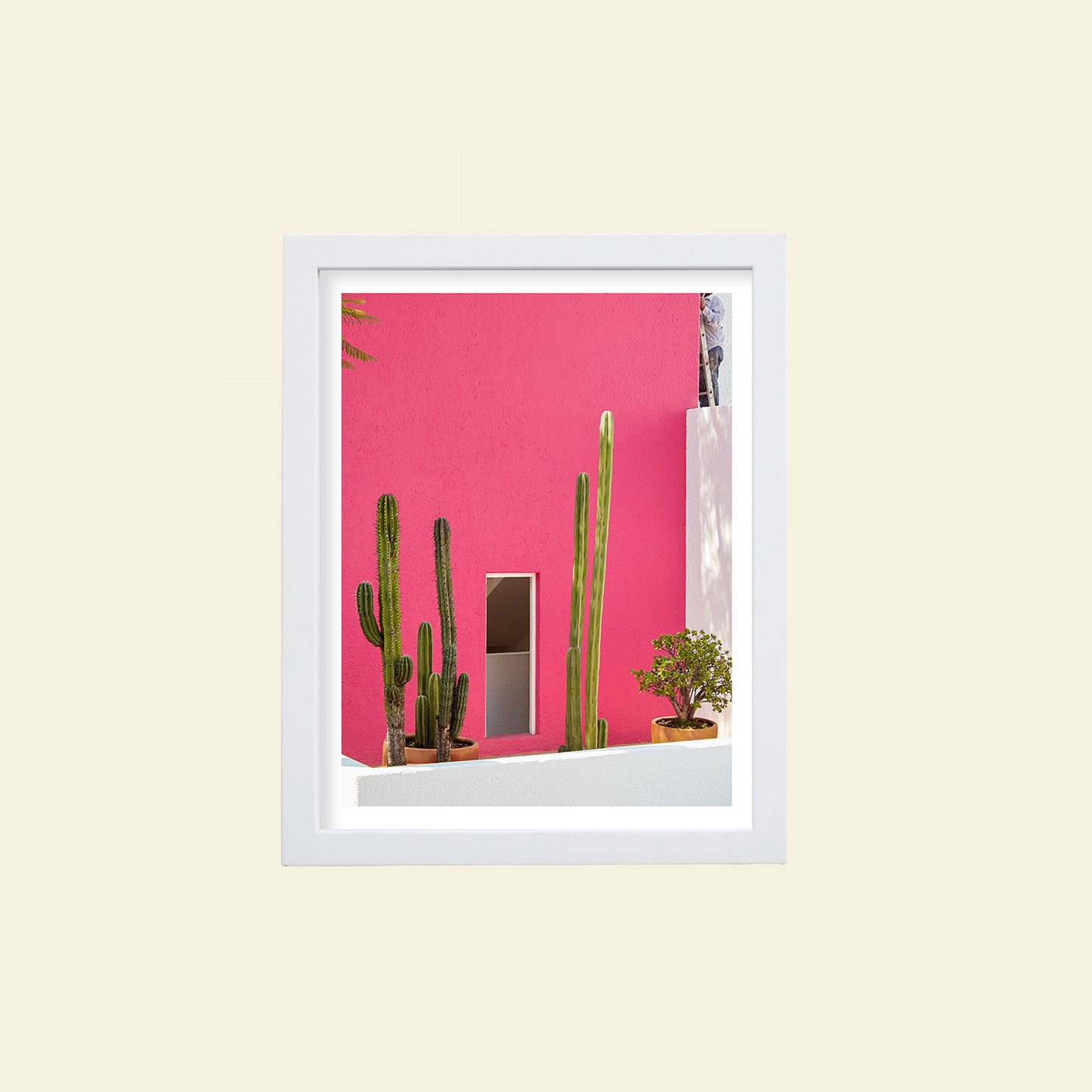 Tropico- "Pink Casa"