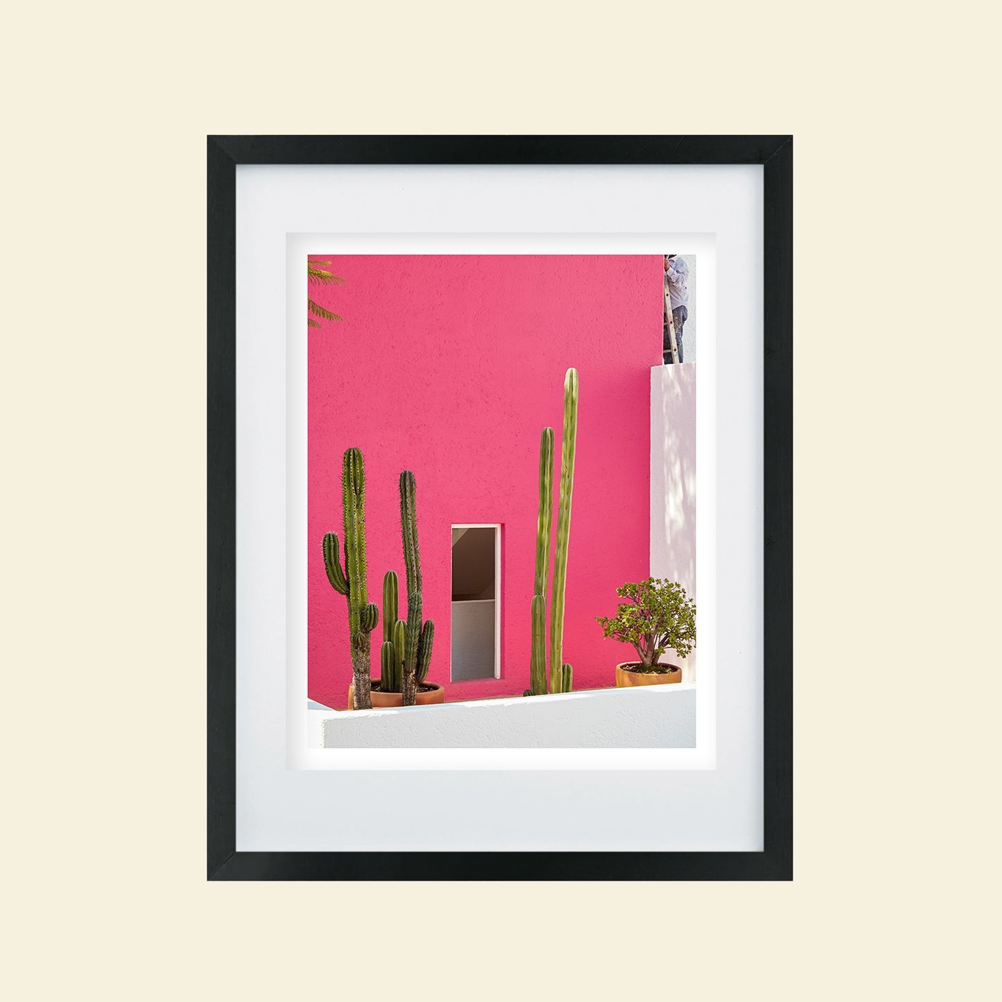 Tropico- "Pink Casa"