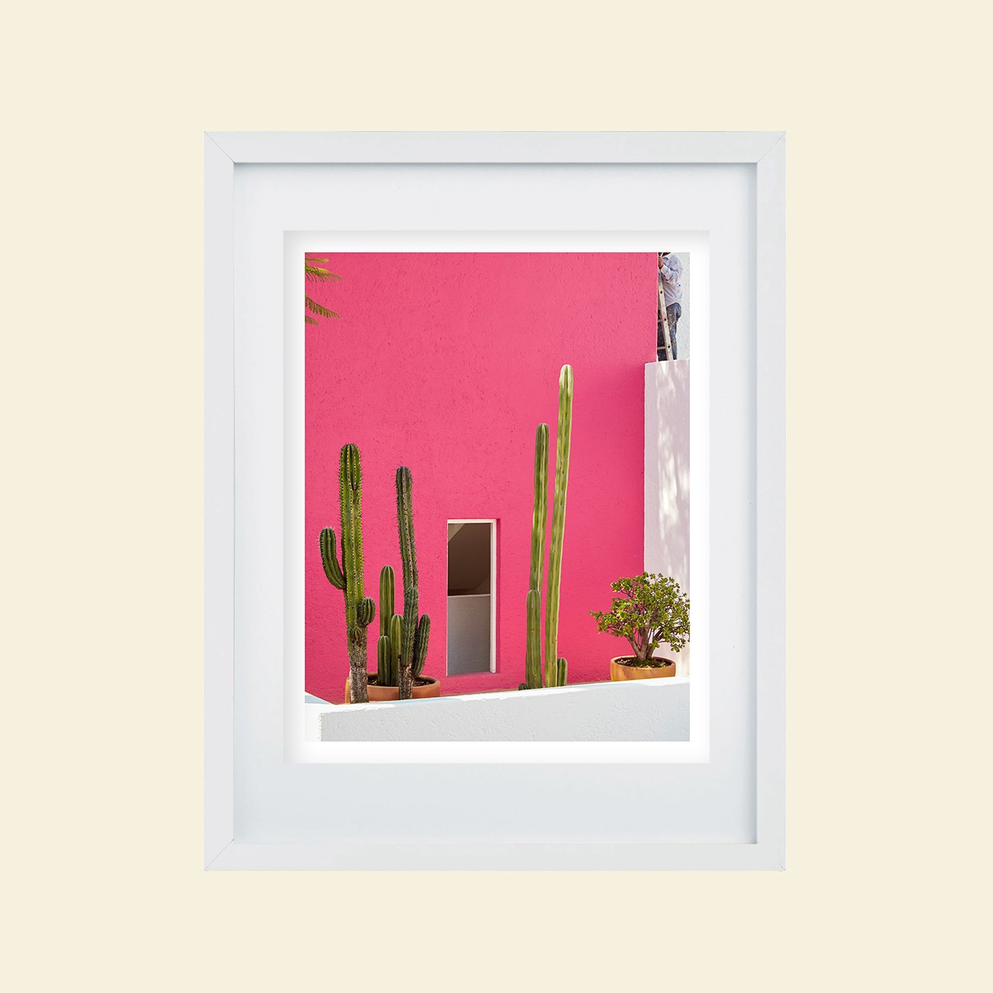 Tropico- "Pink Casa"