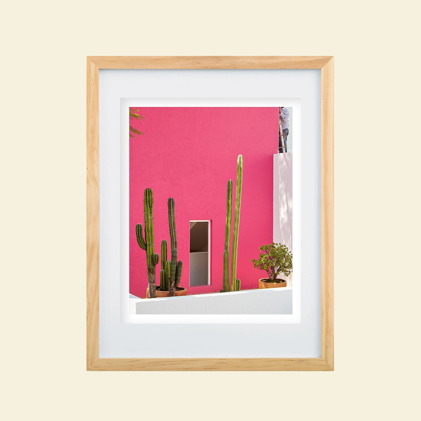 Tropico- "Pink Casa"