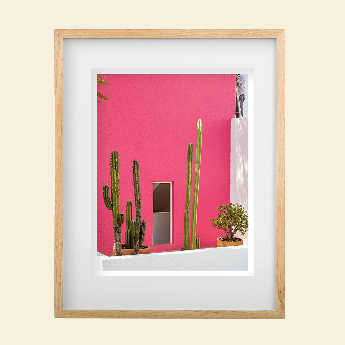 Tropico- "Pink Casa"