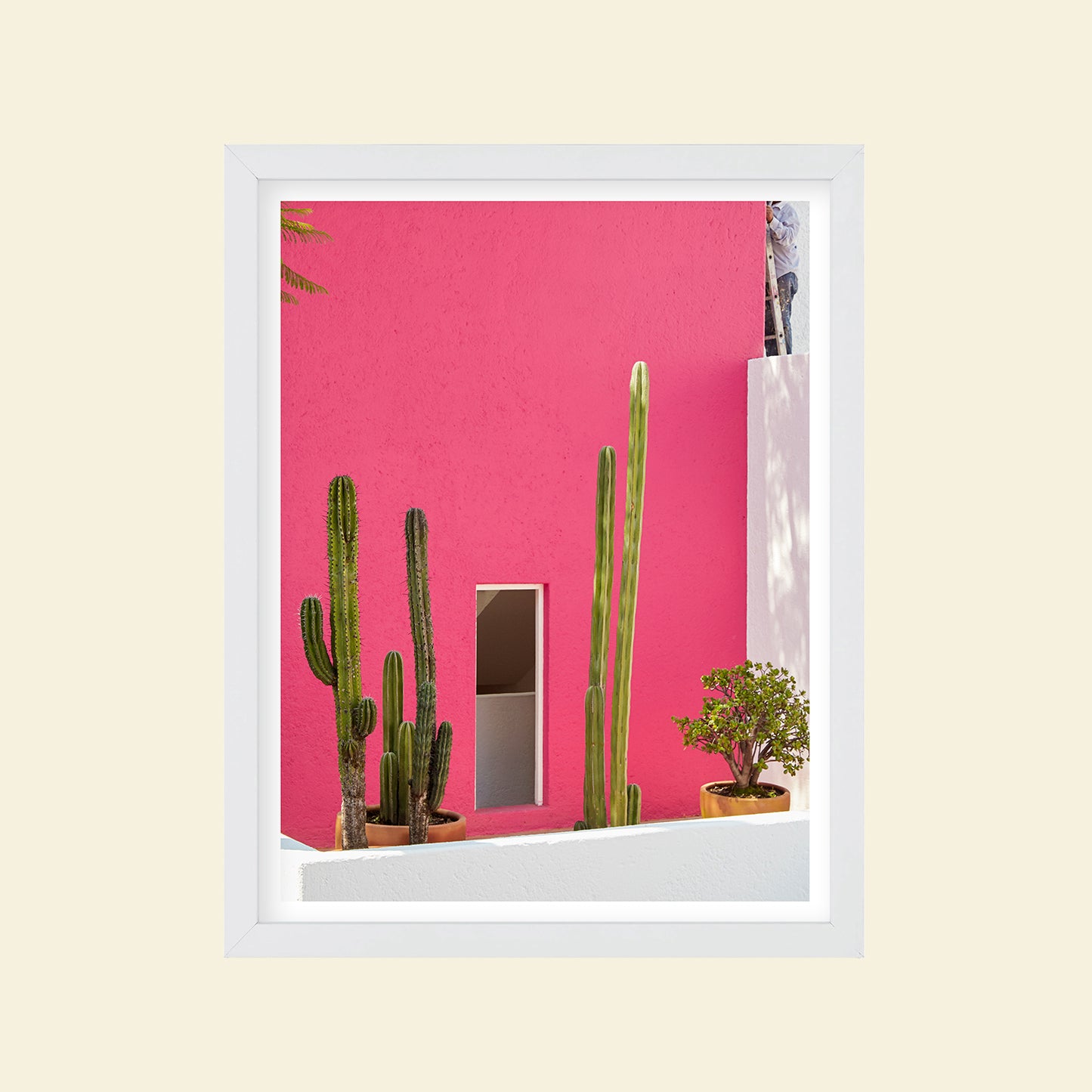 Tropico- "Pink Casa"