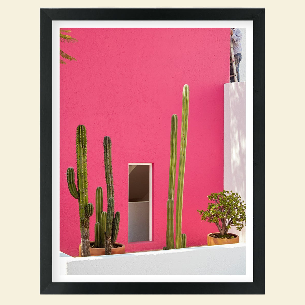 Tropico- "Pink Casa"