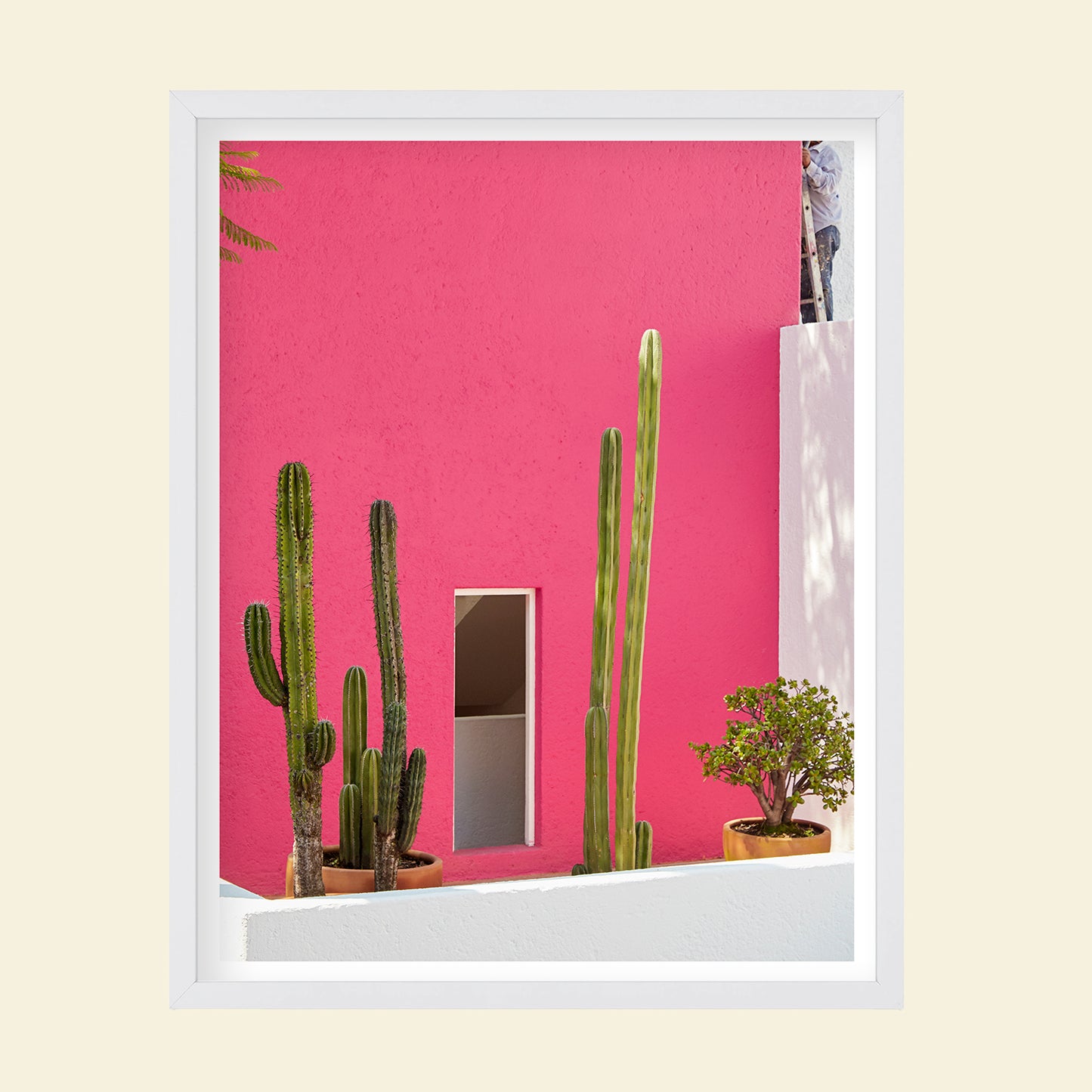 Tropico- "Pink Casa"