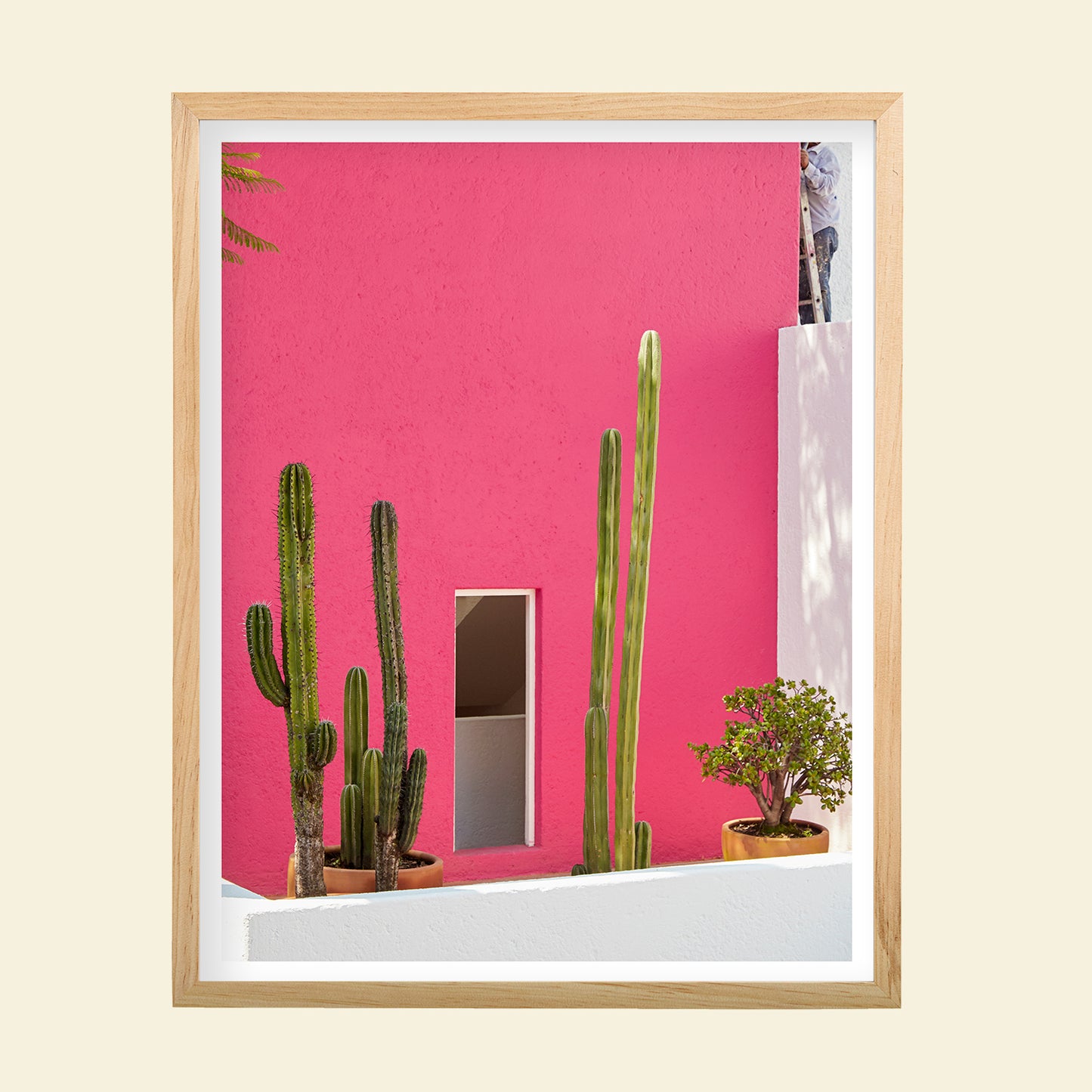 Tropico- "Pink Casa"