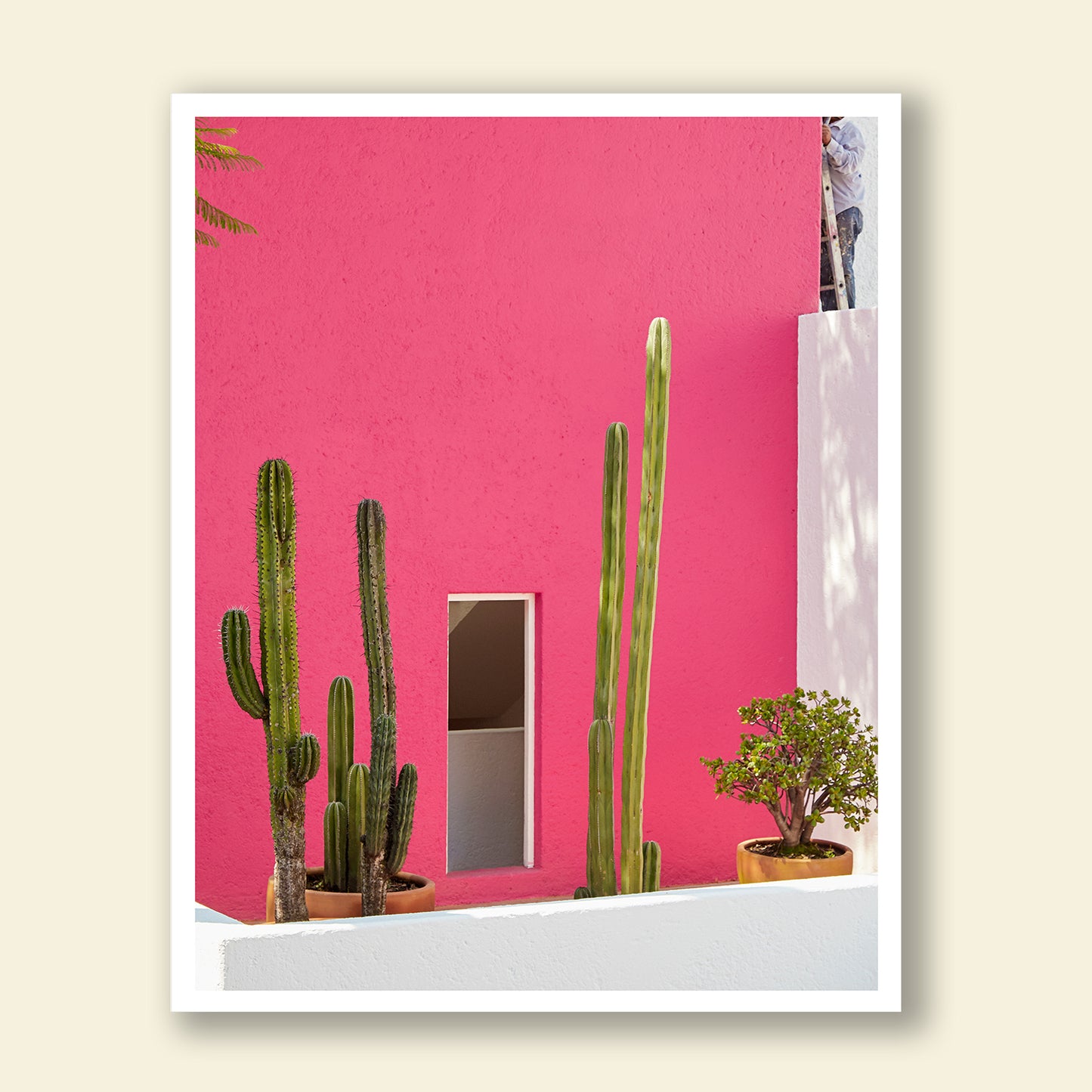 Tropico- "Pink Casa"