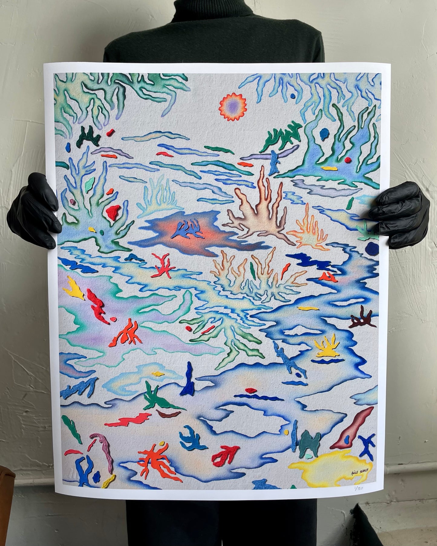 Alice Serres- "Swamp Boundaries for Ocean Dolphins"