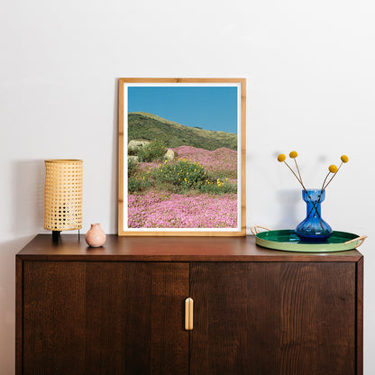 Sydney Smith - "California Colorblock"