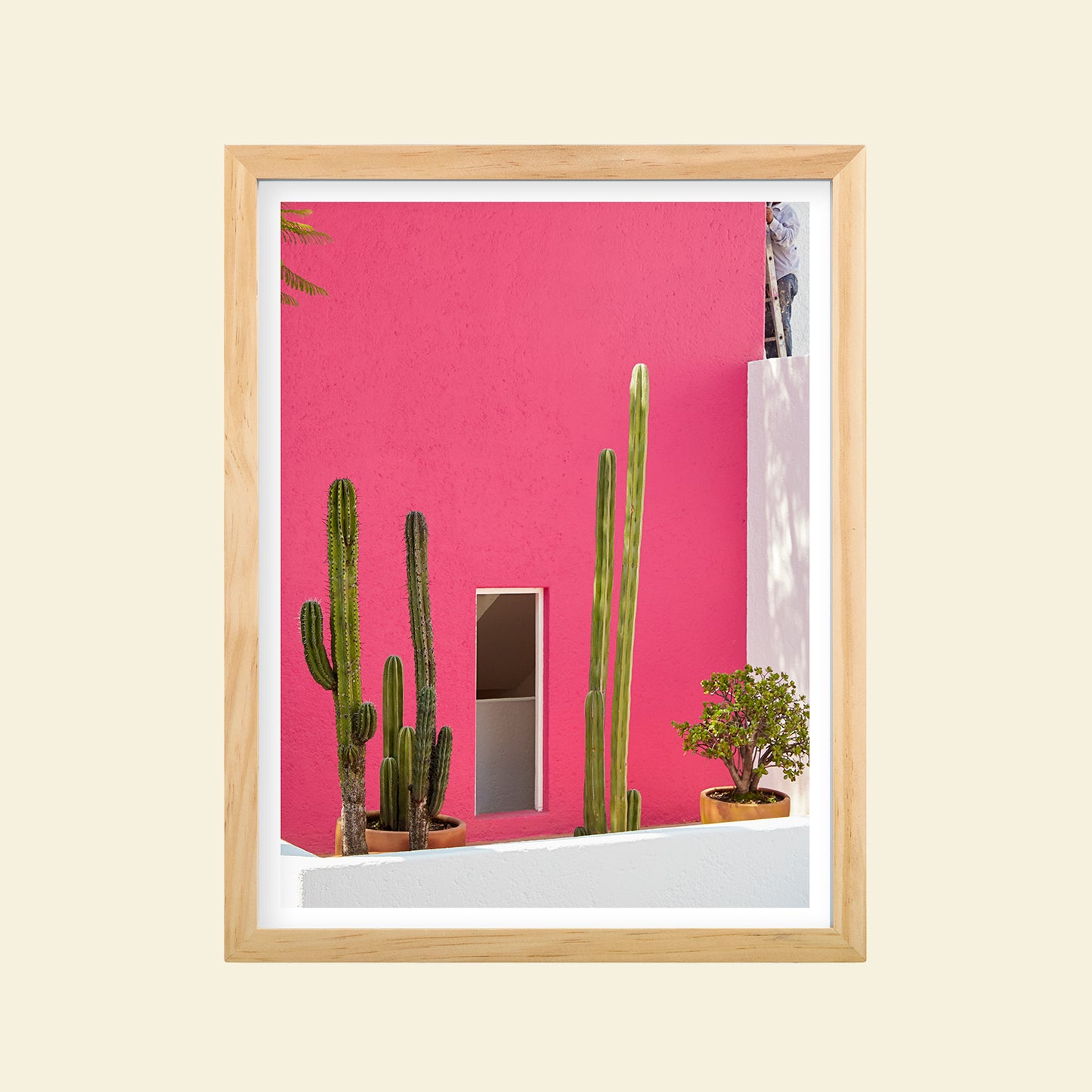 Tropico- "Pink Casa"
