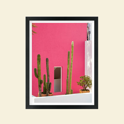 Tropico- "Pink Casa"